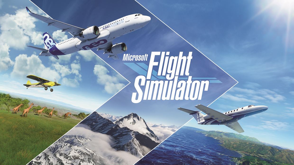 flight-sim-micro